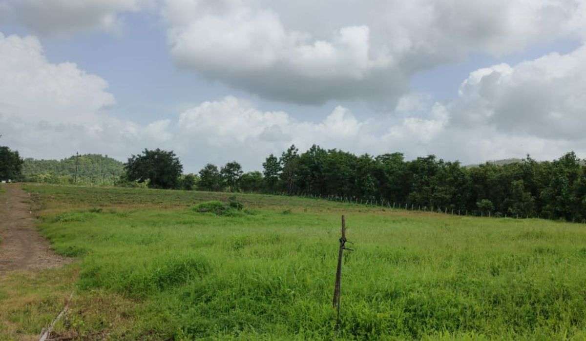 Greenwworld Organic Agro Plots Wada