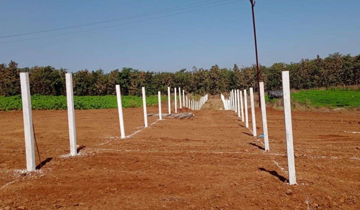 Greenwworld Organic Agro Plots Wada