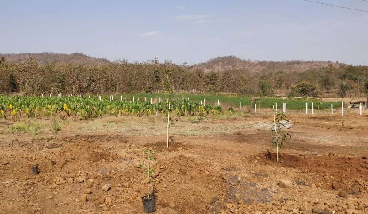 Greenwworld Organic Agro Plots Wada