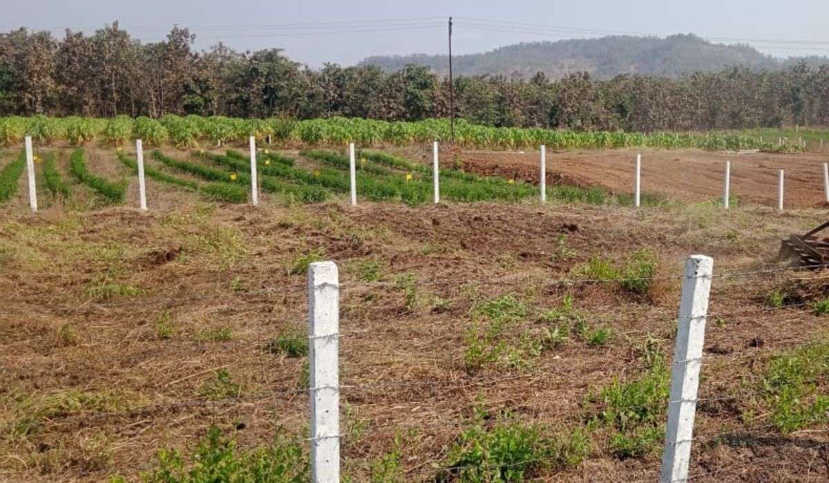 Greenwworld Organic Agro Plots Wada